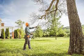 Lawn Irrigation Installation and Maintenance in Forreston, IL